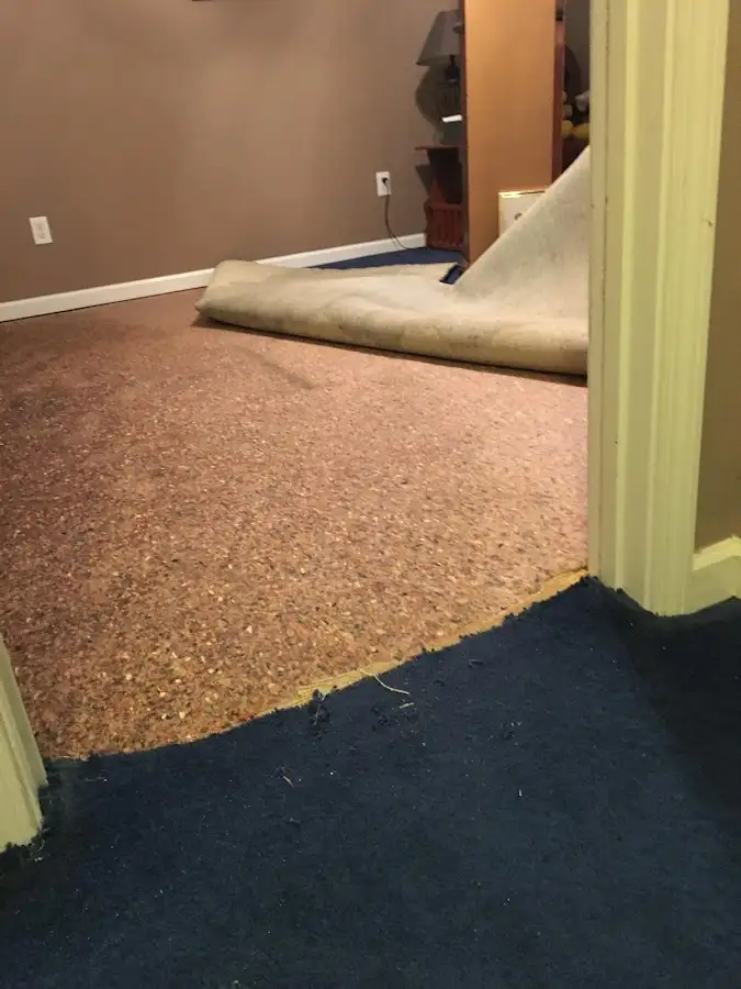 Carpet pad removal revealing water damage during Drying & Dehumidification in Cobleskill